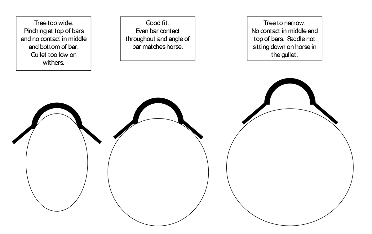 A diagram of different saddle fits