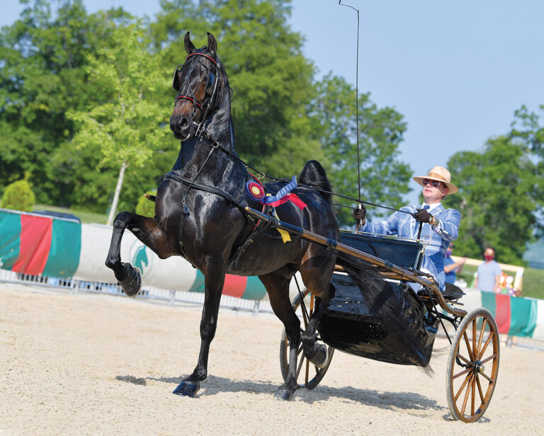 Horsing Around with Carson Kressley - Horse Illustrated