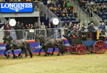 The Stonecreek Friesians driven by Jordan Steenbeek compete in the Green Meadows coaching division at the 2024 Royal Fair.