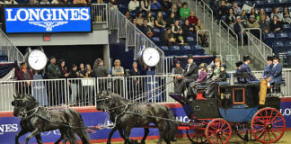 The Stonecreek Friesians driven by Jordan Steenbeek compete in the Green Meadows coaching division at the 2024 Royal Fair.