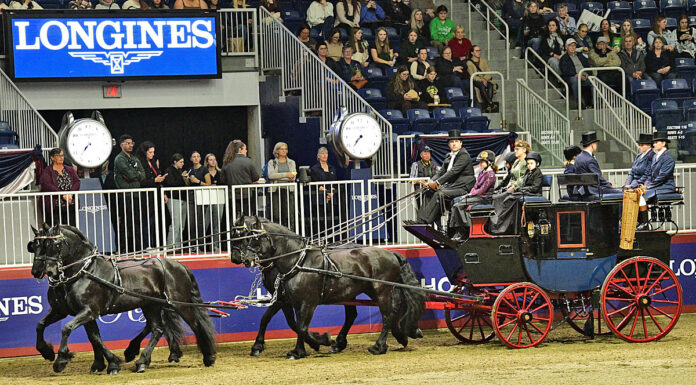 The Stonecreek Friesians driven by Jordan Steenbeek compete in the Green Meadows coaching division at the 2024 Royal Fair.