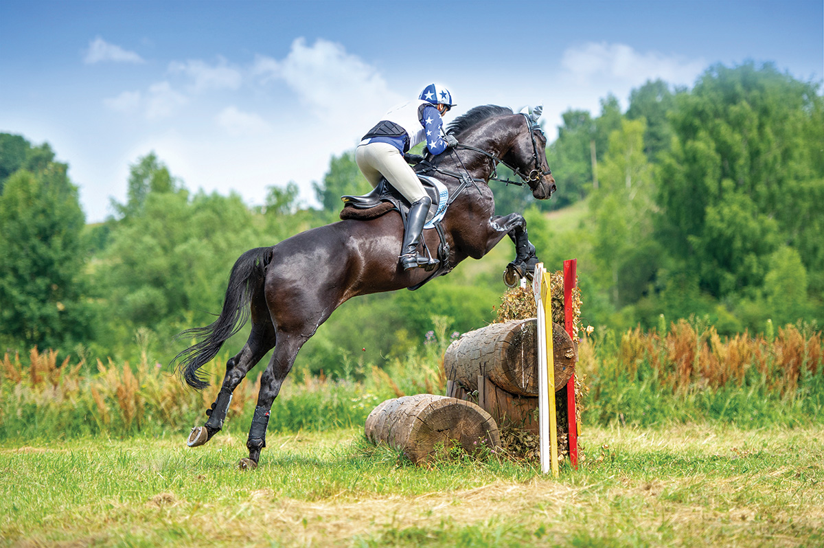 A horse and rider jumping cross-country.