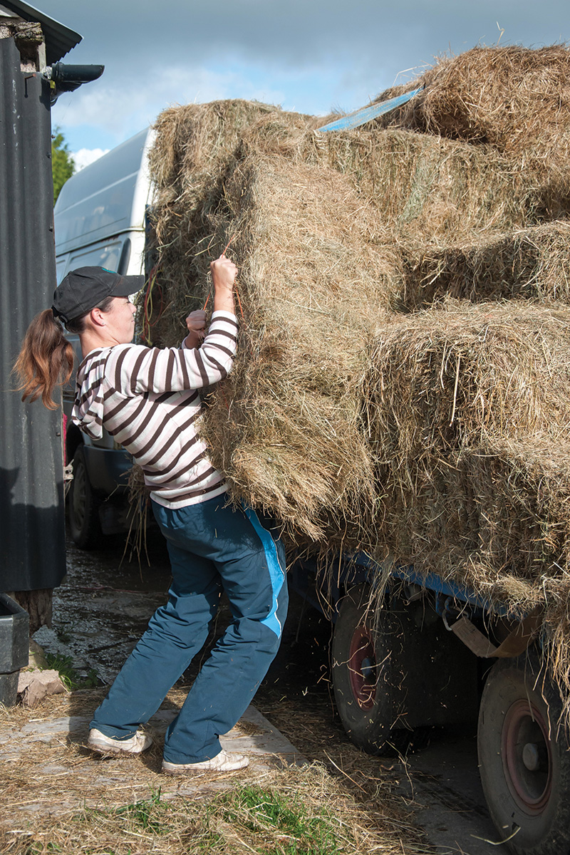 Unloading hay