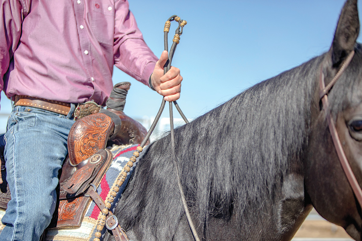 A close-up of how to hold reins for this maneuver