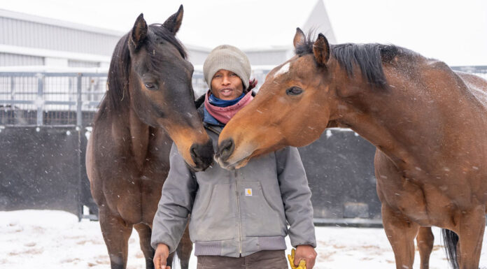 Colorado-based dressage trainer Nahshon Cook with two horses in the snow. Cook is a proponent of trauma-informed horsemanship.