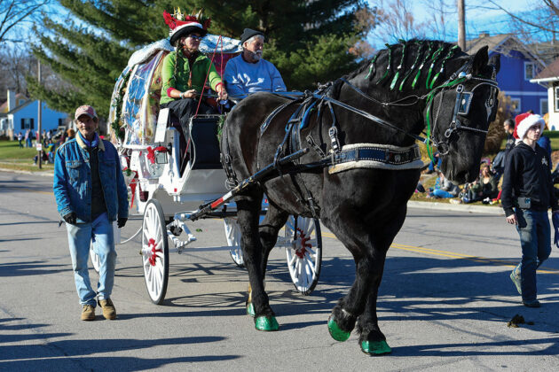 A Percheron pulls a Cinderella-themed carriage.