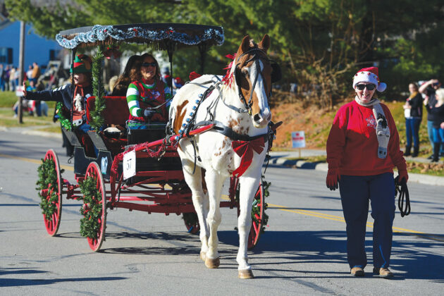 A chestnut pinto pulls a cart down the street.