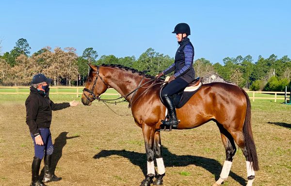 Bernie Traurig Raven Sky stallion