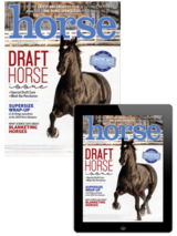 The Horse Illustrated Nov/Dec Combo cover image