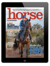 The Horse Illustrated August 2024 digital cover