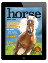 Horse Illustrated – September 2024 Digital cover