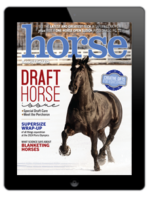 Horse Illustrated – November/December 2024 Digital