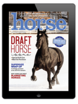 The Horse Illustrated November/December 2024 digital issue cover