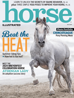 Subscribe to Horse Illustrated & Young Rider