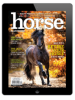 Horse Illustrated – October 2024 Digital