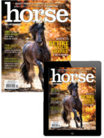 Horse Illustrated – October 2024 Combo