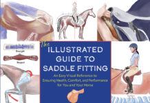 The cover of Illustrated Guide to Saddle Fitting.