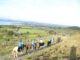 An Irish horse riding holiday