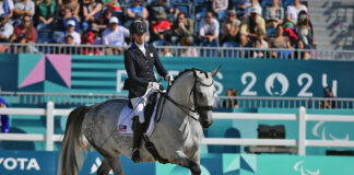 Kate Shoemaker and Vianne compete in para dressage at the 2024 Paris Paralympics