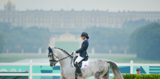 Kate Shoemaker and Vianne scored 80.170% to take silver in Grade IV Individual Freestyle Para Dressage at the Paris 2024 Paralympics