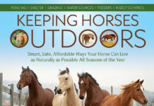 The cover of Keeping Horses Outdoors. The excerpt of this book addresses if horses are cold in winter.