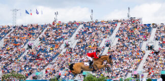 McLain Ward (USA) and Ilex sail over a jump before a large crowd