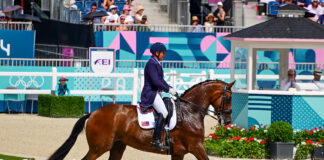 Steffen Peters (USA) and Suppenkasper, also known as "Mopsie" or "Rave Horse"