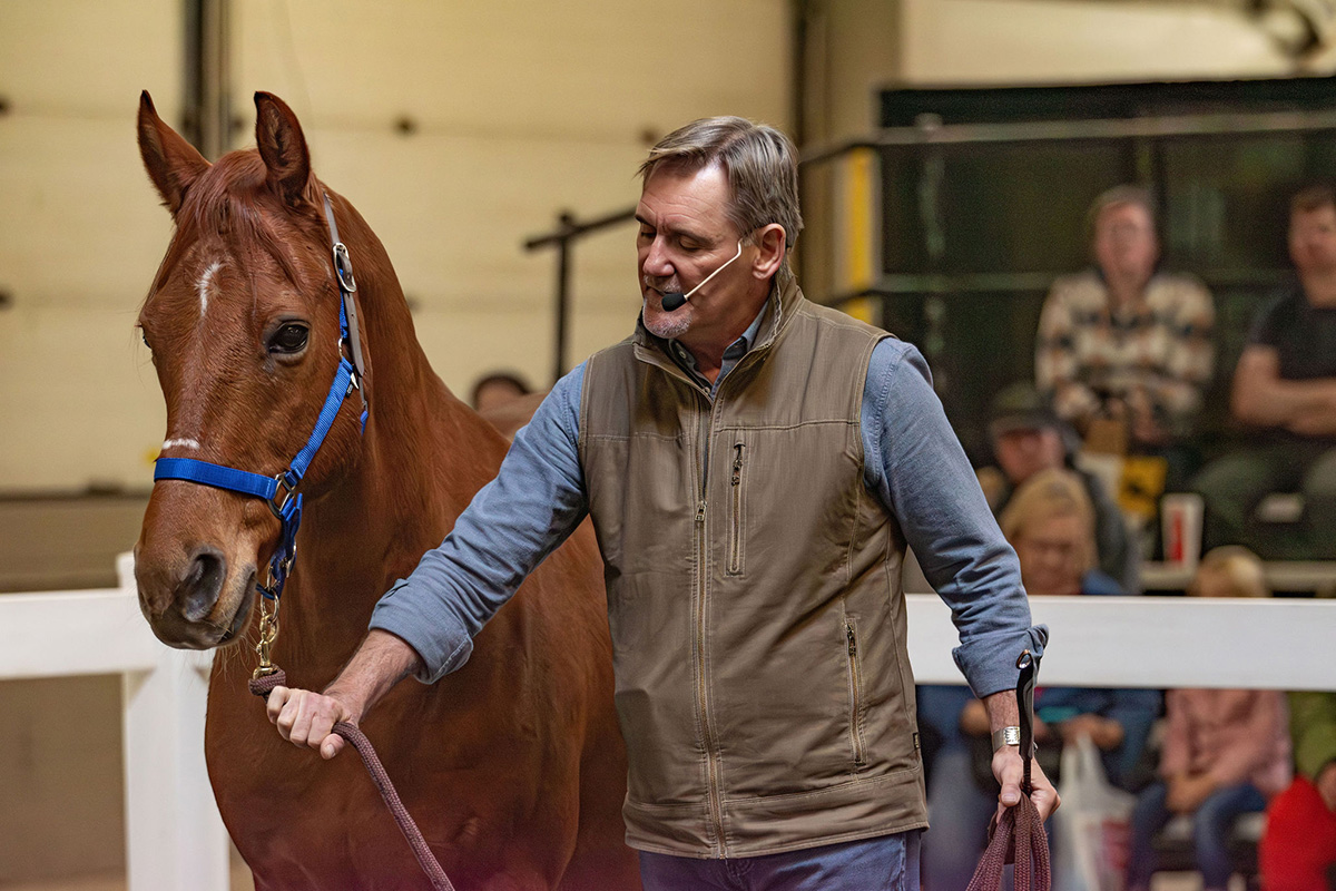 Chris Irwin shares expert tips on groundwork with a new horse.