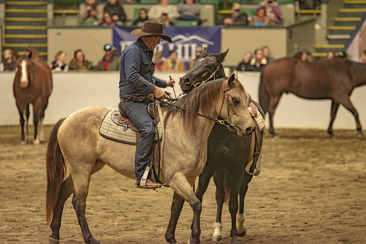 Guy McLean during a clinic at Equine Affaire 2024.