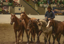 Guy McLean with his Quietway Performance Team at Equine Affaire 2024.