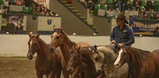 Guy McLean with his Quietway Performance Team at Equine Affaire 2024.