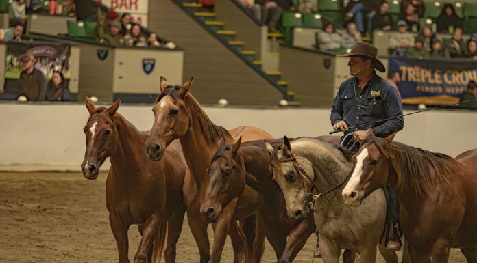 Guy McLean with his Quietway Performance Team at Equine Affaire 2024.