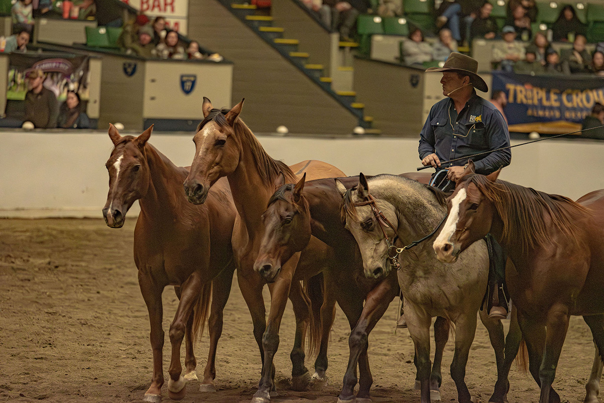 Guy McLean with his Quietway Performance Team at Equine Affaire 2024.