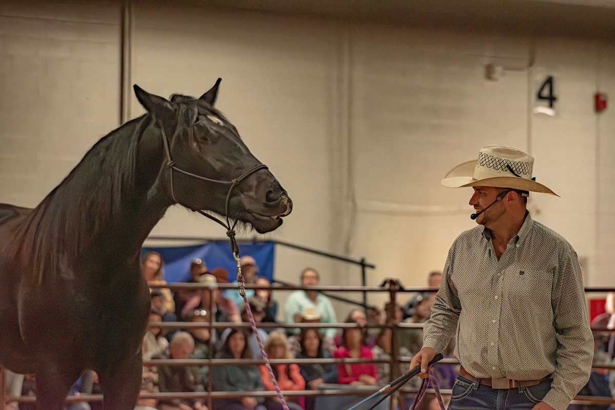 Ryan Rose teaching essential ground manners.