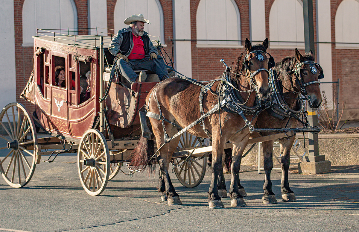 Stagecoach rides around the Expo grounds at Equine Affaire 2024