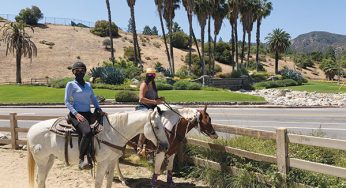 Horseback Riding in Los Angeles – Explore Iconic Griffith Park