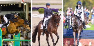 The US Equestrian Open series will display each of these three sports: show jumping, dressage, and eventing