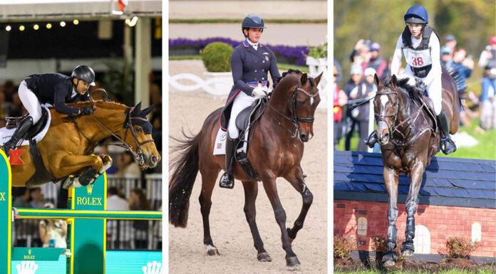 The US Equestrian Open series will display each of these three sports: show jumping, dressage, and eventing