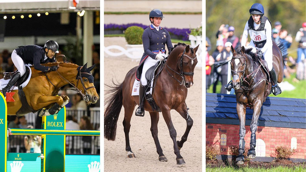 The US Equestrian Open series will display each of these three sports: show jumping, dressage, and eventing