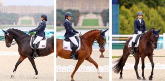 US Paralympic Dressage Team