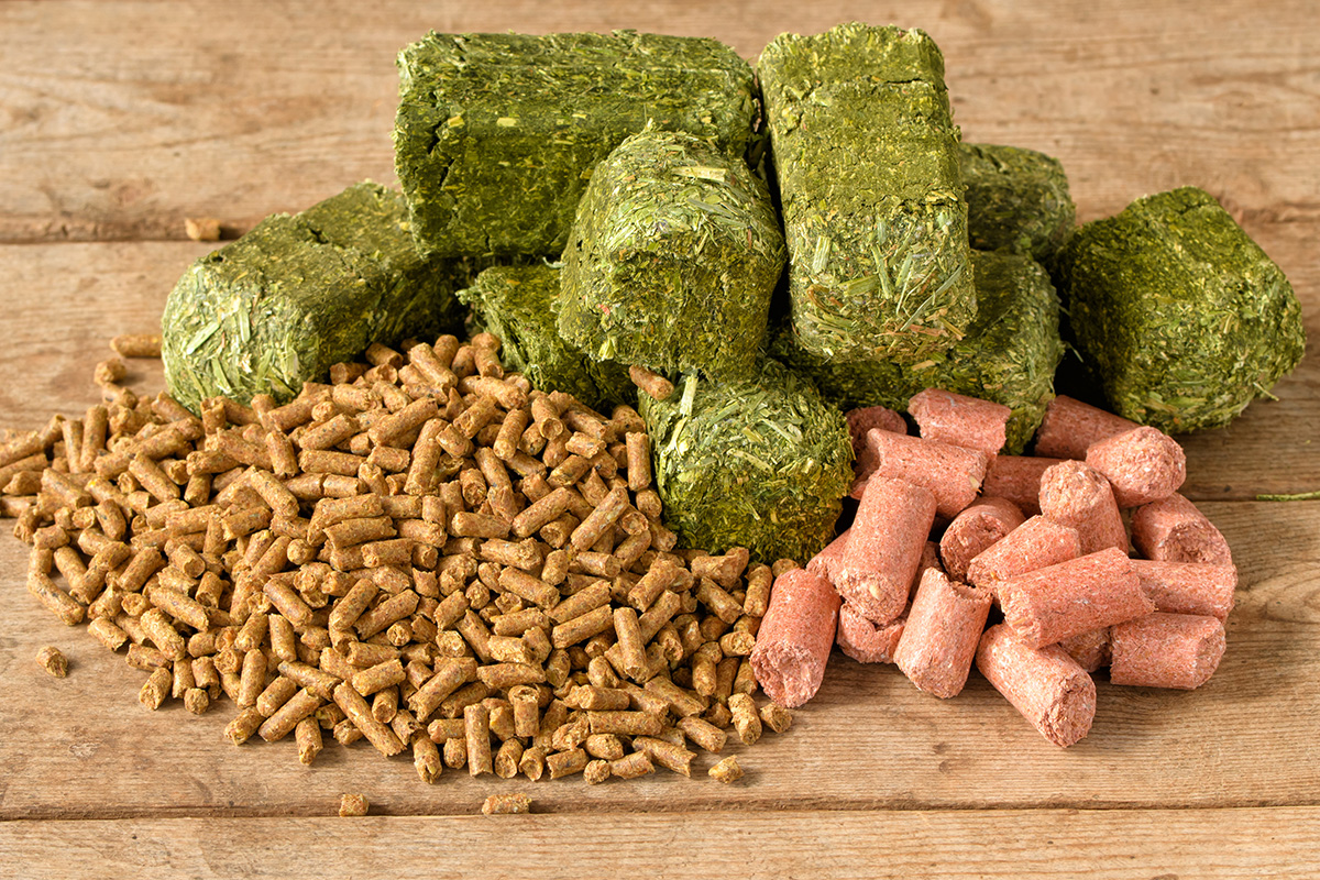 A display of grain, alfalfa cubes, and treats