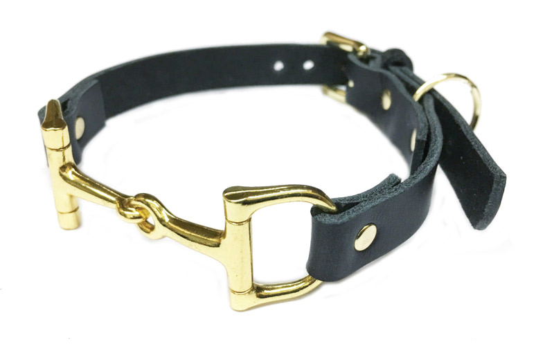 Horseshoe Dog Collar