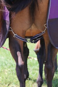How to Blanket a Horse - Published by Young Rider magazine