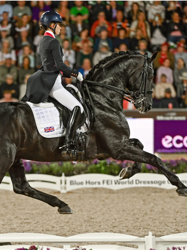 2024 Paris Olympic Equestrian Trivia and Fun Facts