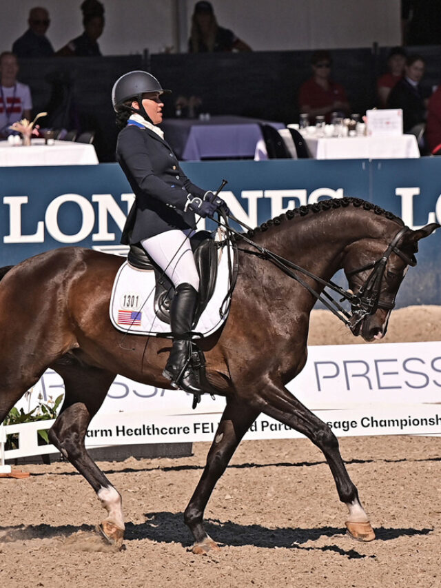 2024 Paris Paralympics: Para Dressage Preview