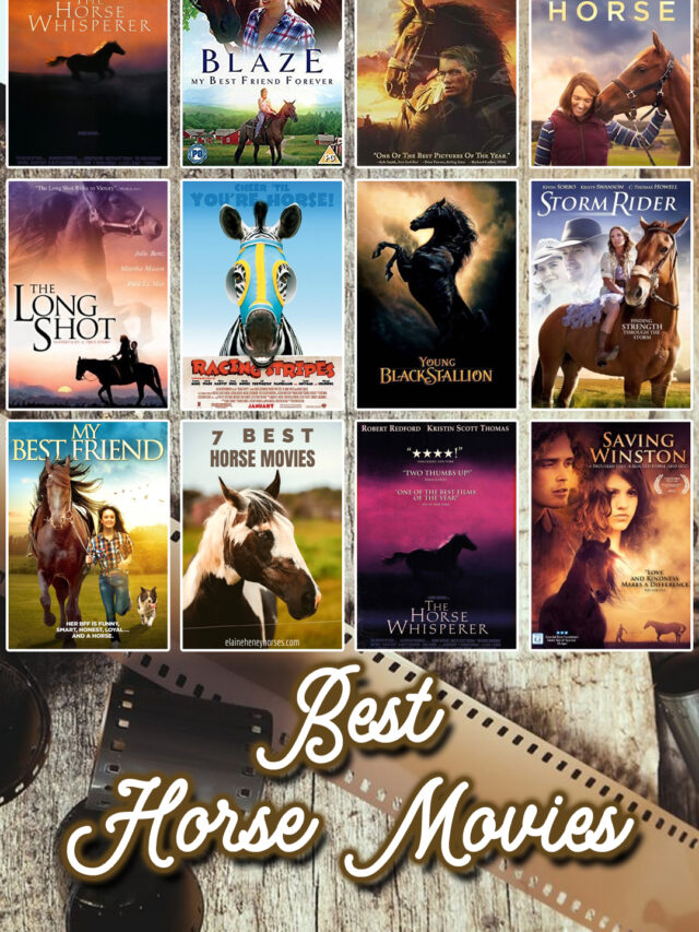 Best Horse Movies and Films