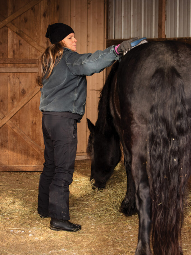 Winter Fitness Tips for Equestrians