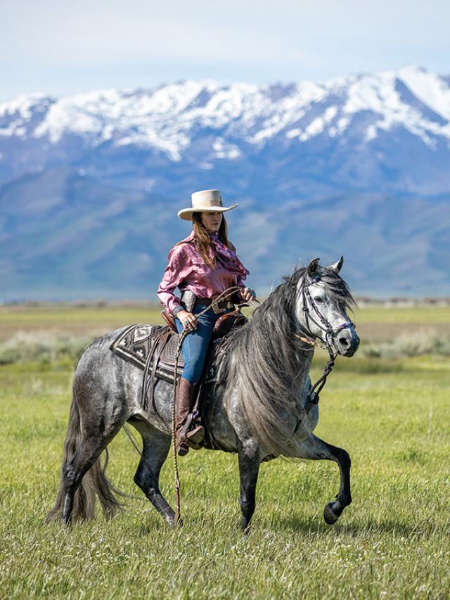 Meet the Peruvian Horse