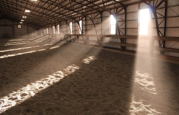 Dusty Arena and Respiratory Disease in the Horse