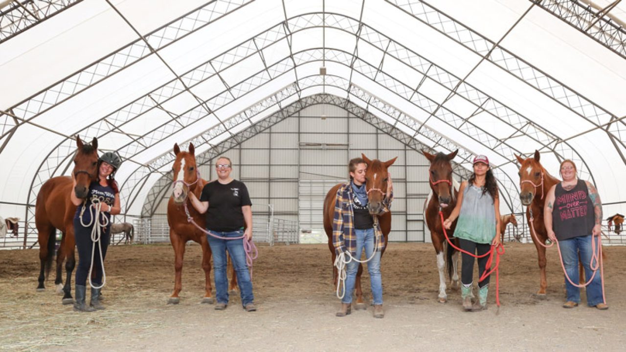 veteran horse therapy near me